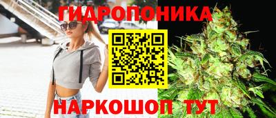 ECSTASY Аргун